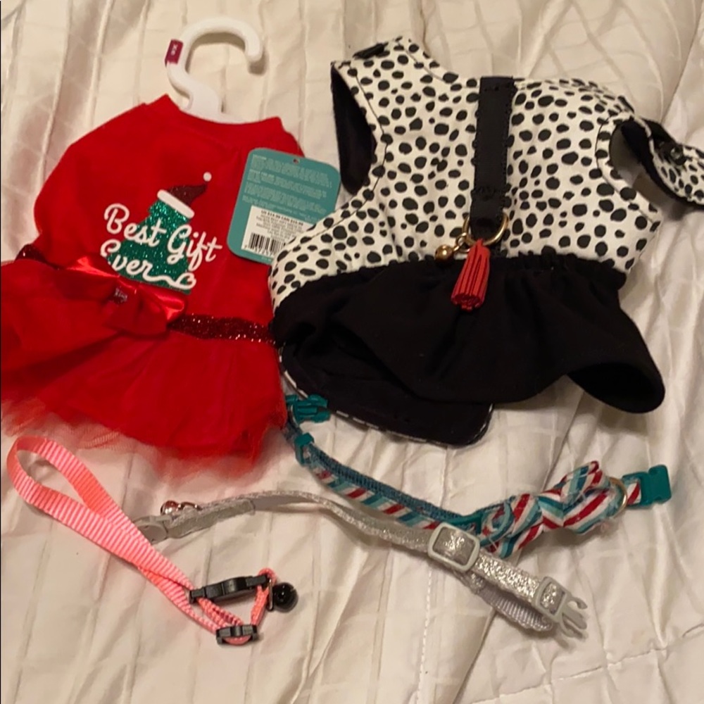 Cat/Dog Bundle